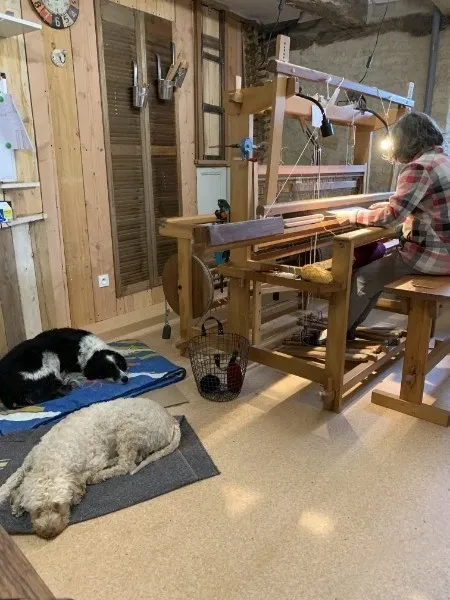 L'atelier de tissage : le métier en bois au centre de la pièce, deux chiens endormis au premier plan